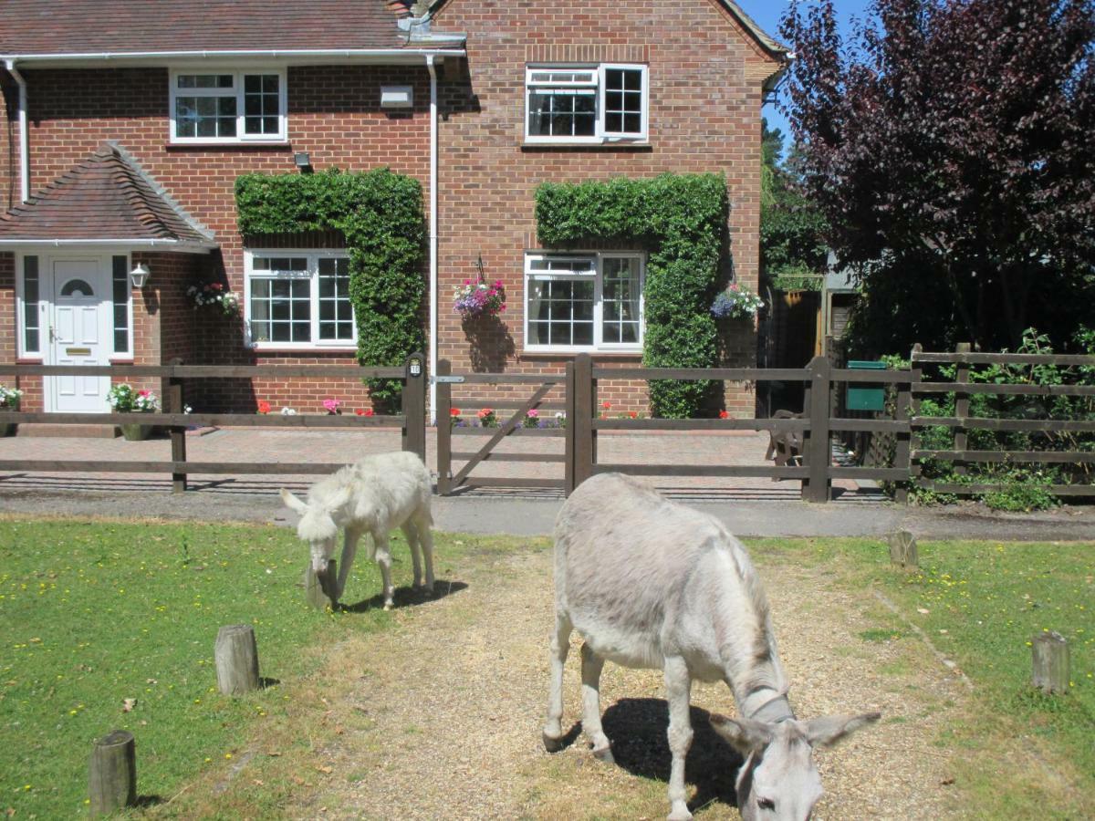 Hops Annex Villa Brockenhurst Exterior photo